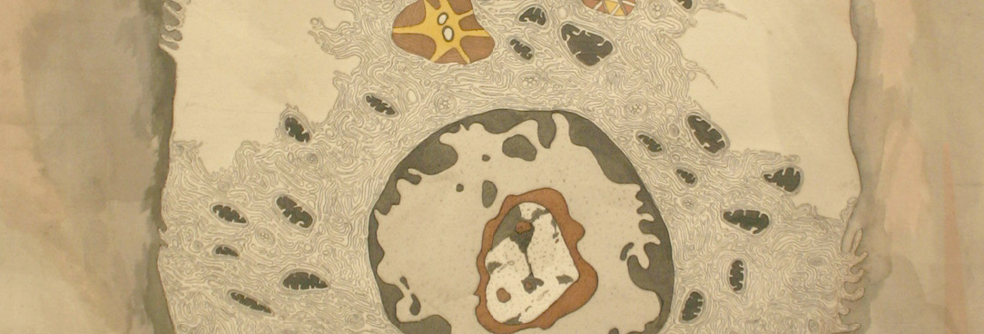 Artwork by Vicki Couzens, Untitled, mixed media on paper 2005 Artwork